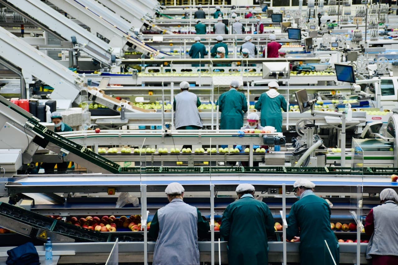 Fast Moving Consumer Goods (FMCG)